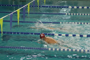 米兰电竞下载-全国青少年游泳锦标赛青春风采尽展，全国青少年游泳比赛成绩